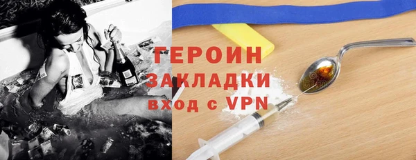прущие грибы Корсаков