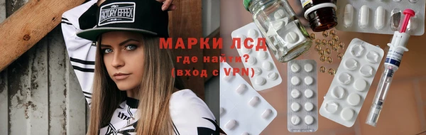 прущие грибы Корсаков