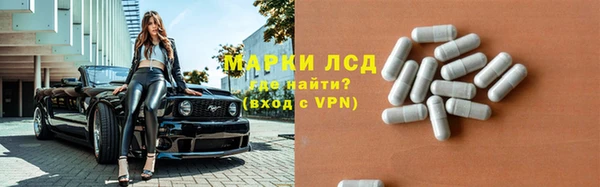 прущие грибы Корсаков