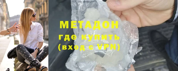 прущие грибы Корсаков