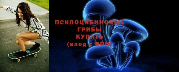 прущая мука Костерёво