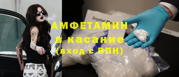 прущие грибы Корсаков