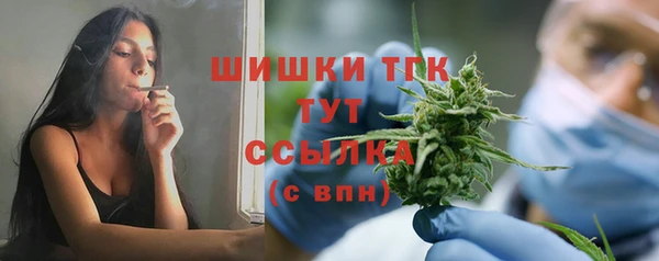 эйфоретик Краснослободск