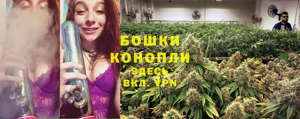 эйфоретик Краснослободск