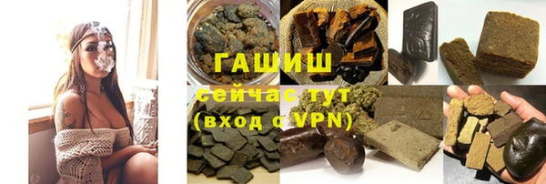прущие грибы Корсаков
